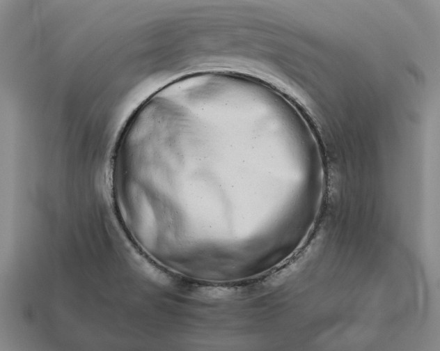 X0000113261517200909241512