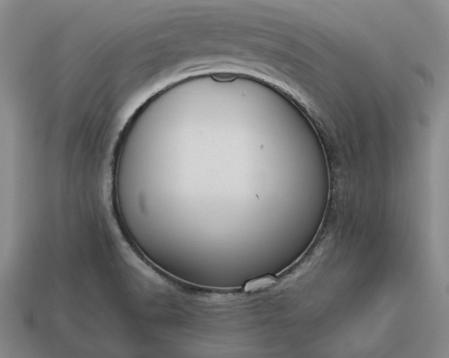 X0000113261518200909241512