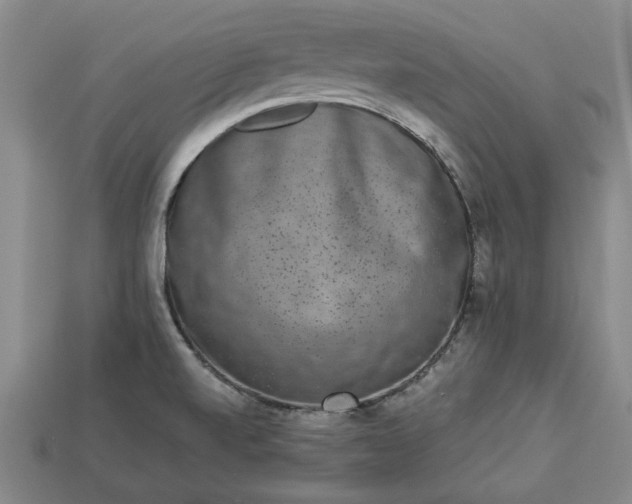 X0000113261520200909241512