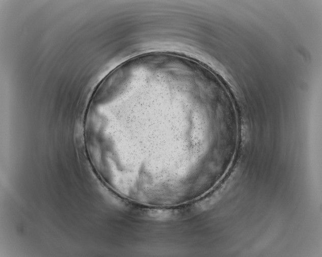 X0000113261521200909241512