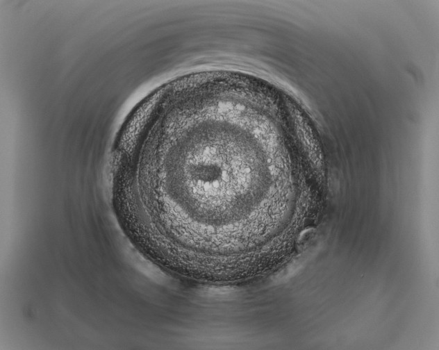 X0000113261522200909241512