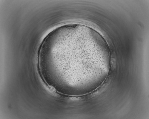 X0000113261523200909241512