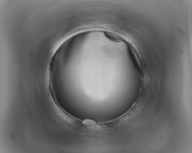 X0000113261524200909241512