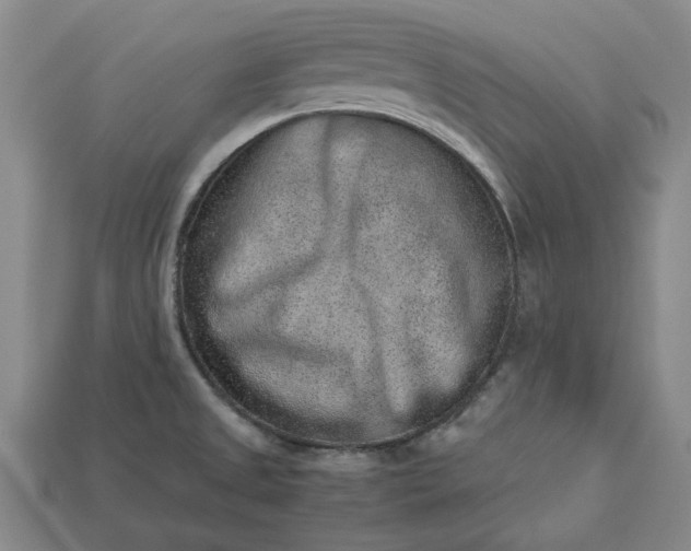 X0000113261525200909241512