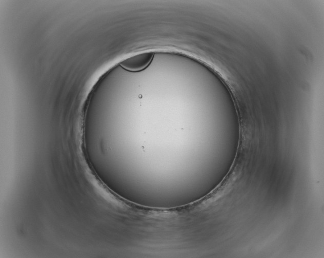 X0000113261526200909241512