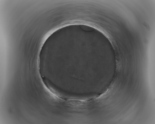 X0000113261527200909241512