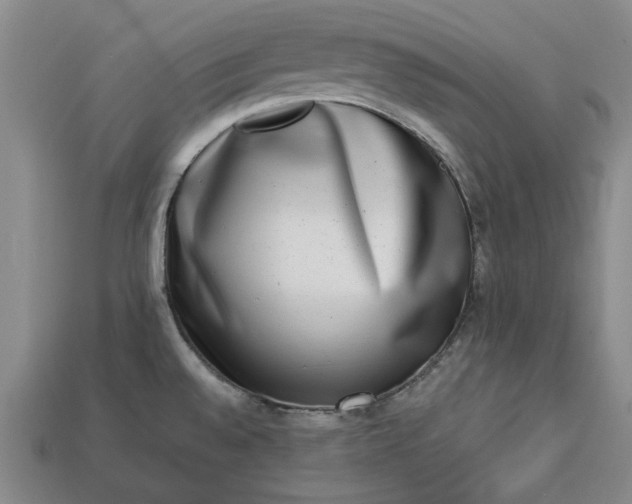 X0000113261528200909241512