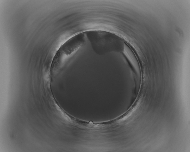 X0000113261529200909241512