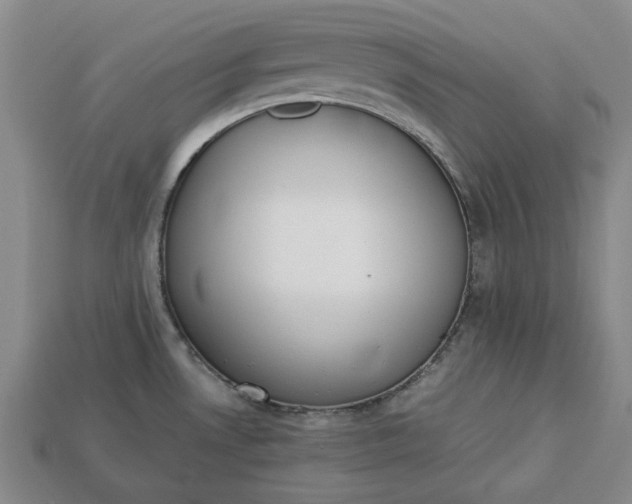 X0000113261530200909241512