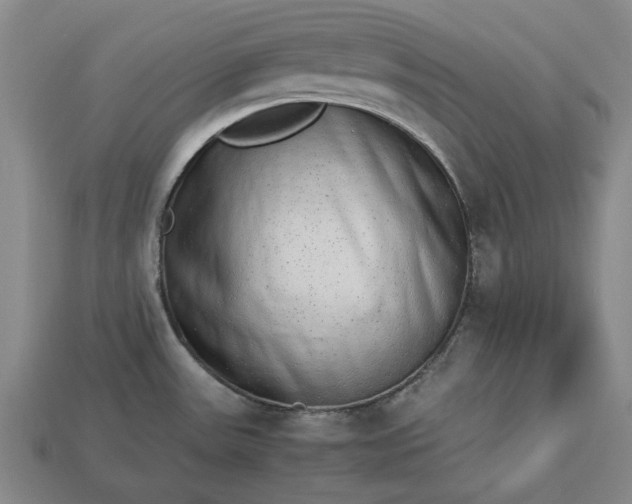 X0000113261531200909241512