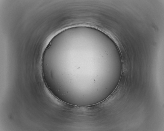 X0000113261532200909241512