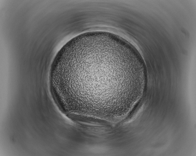 X0000113261533200909241512