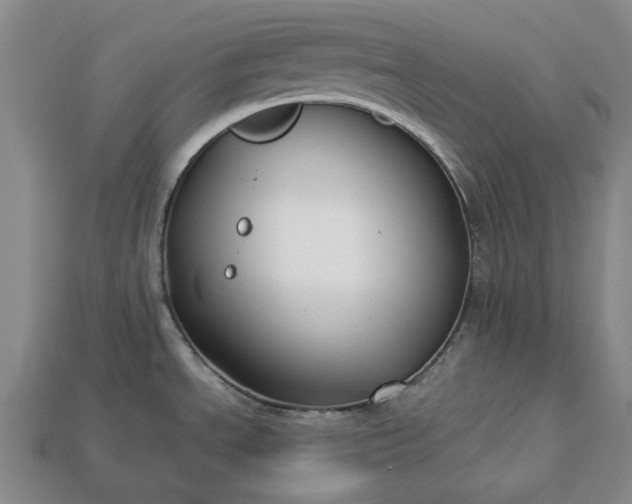 X0000113261534200909241512