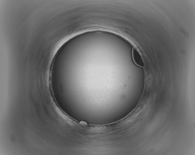 X0000113261535200909241512