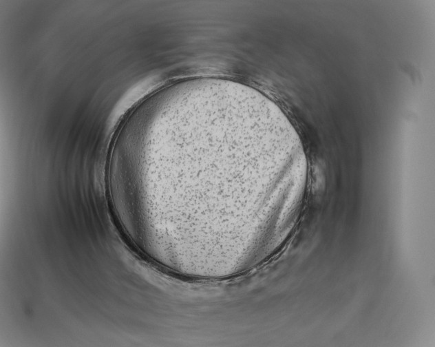 X0000113260004200910011417
