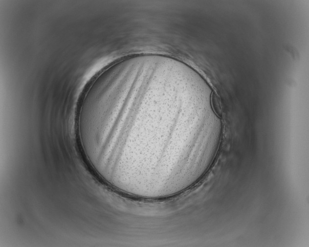 X0000113260008200910011417