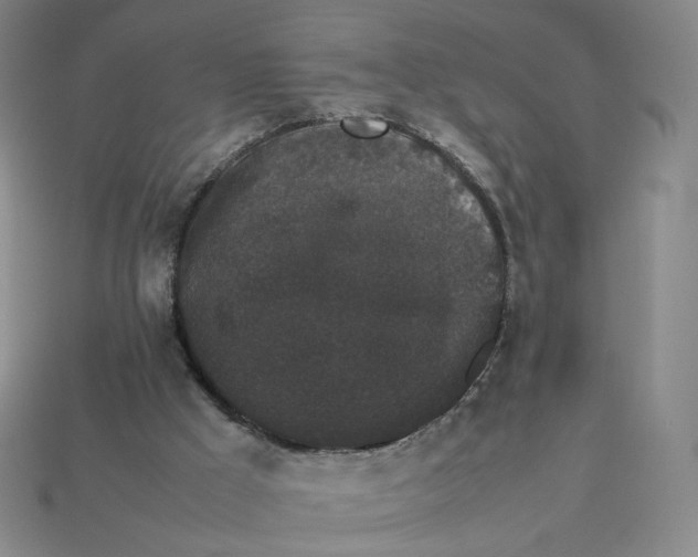 X0000113260009200910011417