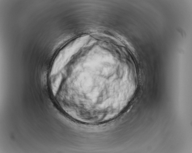 X0000113260010200910011417