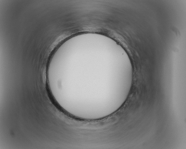 X0000113260011200910011417