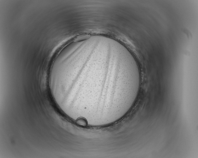 X0000113260012200910011417