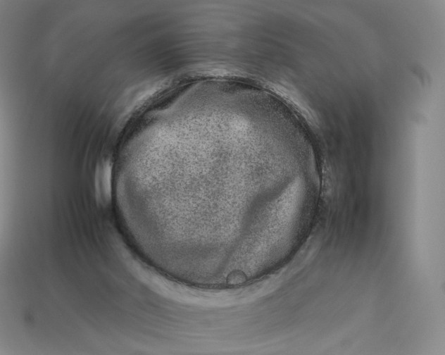 X0000113260014200910011417