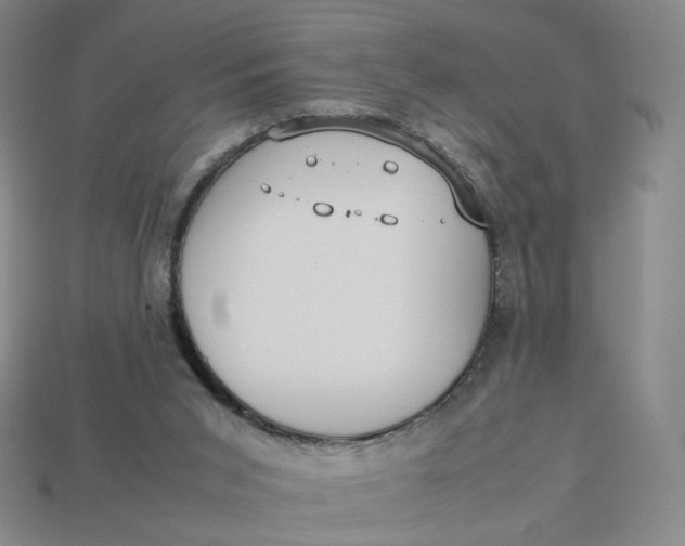 X0000113260015200910011417