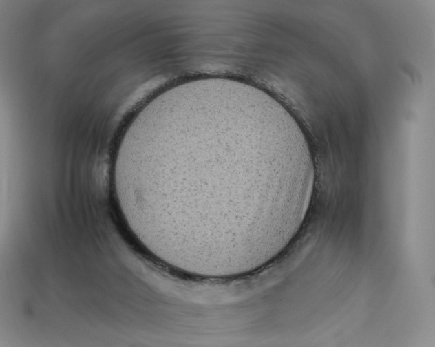 X0000113260016200910011417