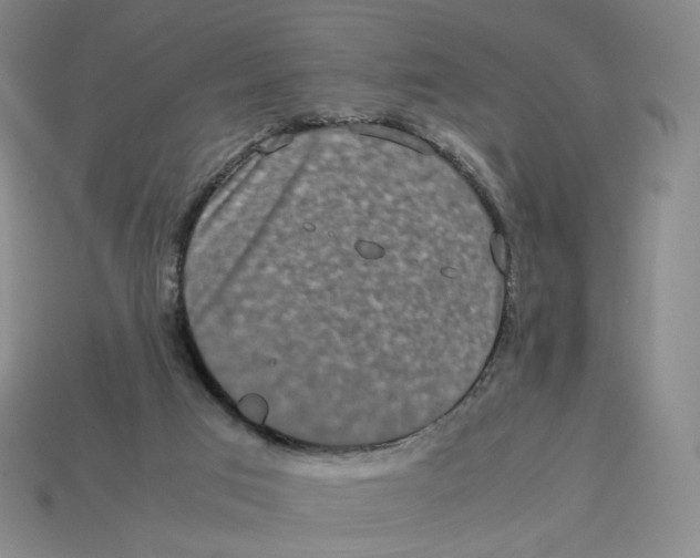 X0000113260017200910011417