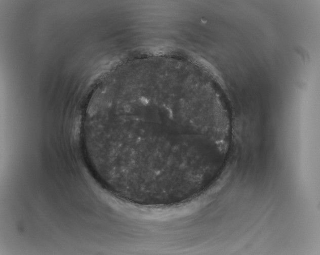 X0000113260018200910011417
