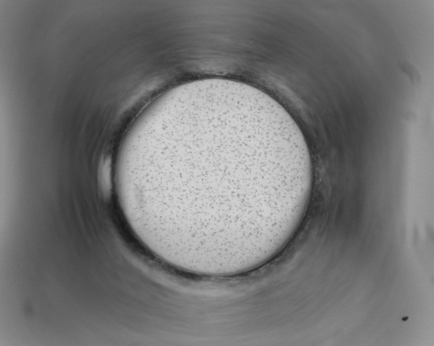 X0000113260020200910011417