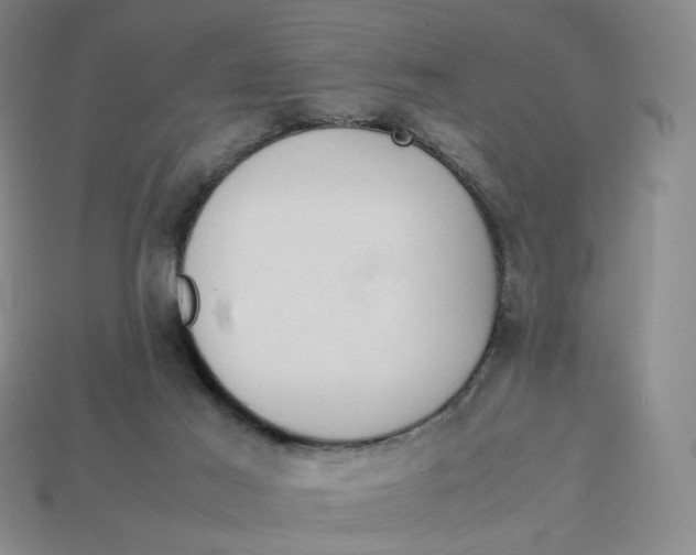 X0000113260021200910011417