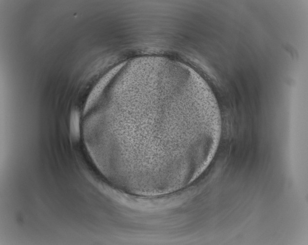 X0000113260022200910011417