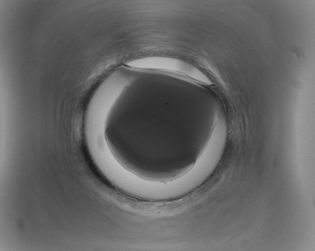 X0000113260023200910011417