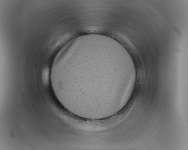 X0000113260024200910011417