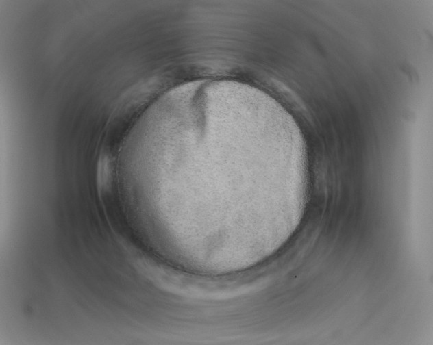 X0000113260026200910011417