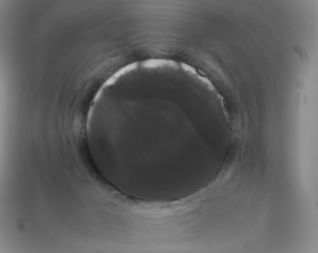 X0000113260029200910011417