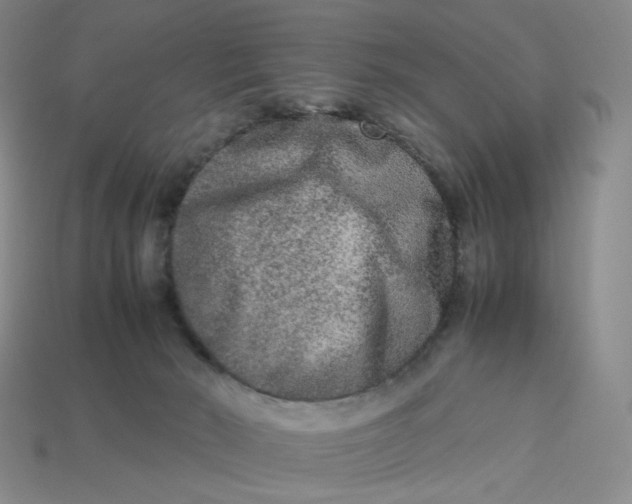 X0000113260030200910011417