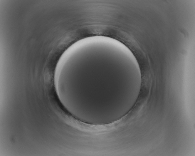X0000113260031200910011417