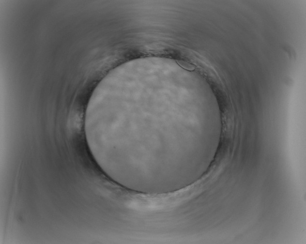 X0000113260033200910011417