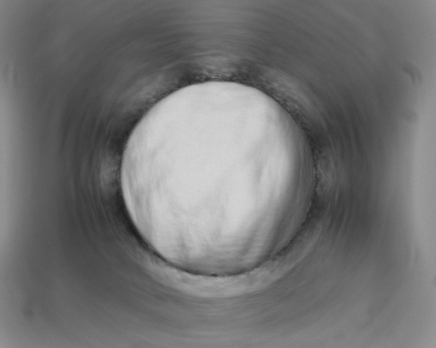 X0000113260034200910011417