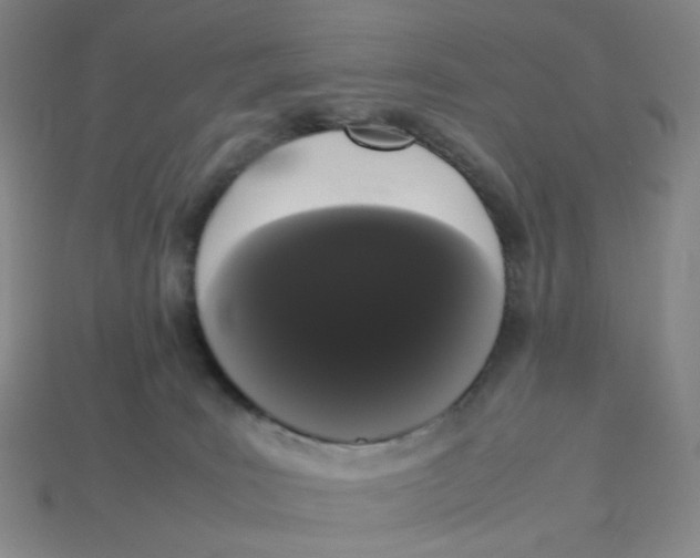 X0000113260035200910011417