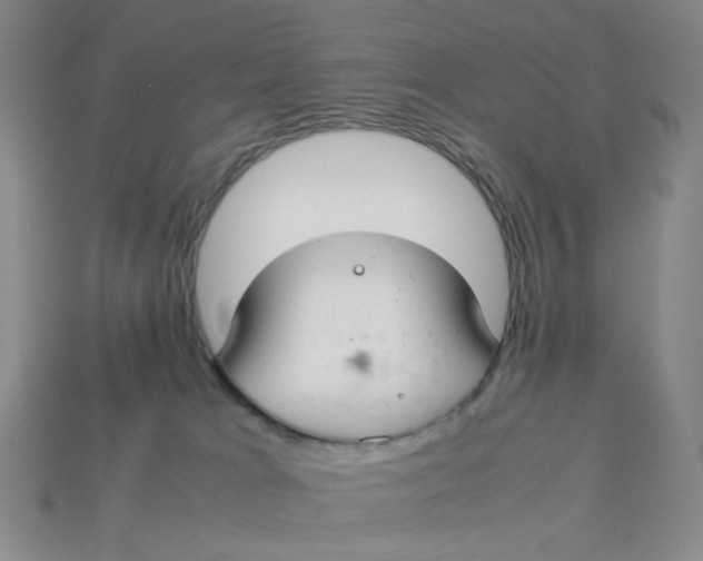 X0000113260037200910011417