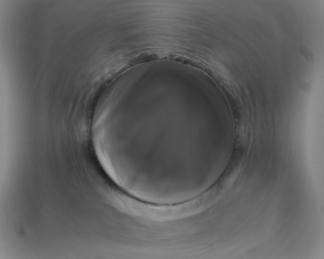 X0000113260039200910011416