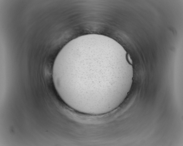 X0000113260040200910011416