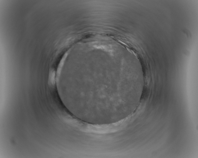 X0000113260041200910011416