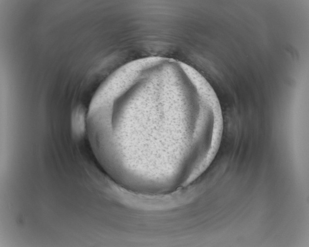X0000113260042200910011416