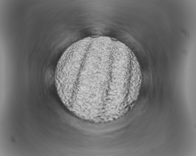 X0000113260043200910011416