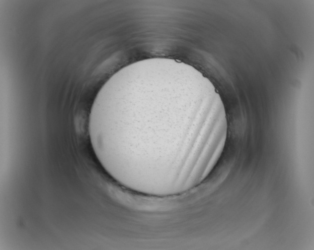 X0000113260044200910011416