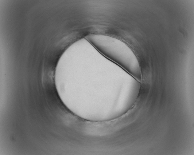 X0000113260045200910011416