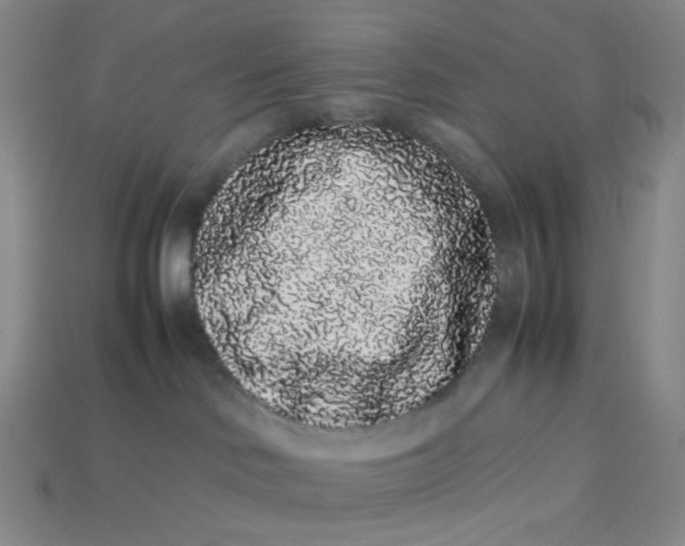 X0000113260046200910011416
